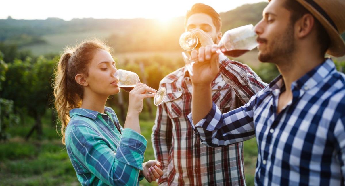 Le vin : un placement de choix !