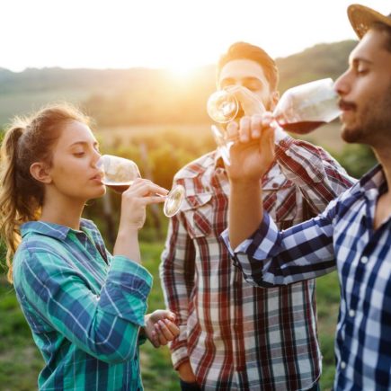 Le vin : un placement de choix !